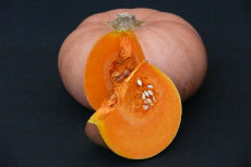 Pumpkin pumpkin 05-230x153